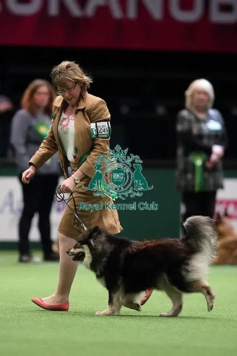 Framed Print : Crufts 2016 Best of Breed