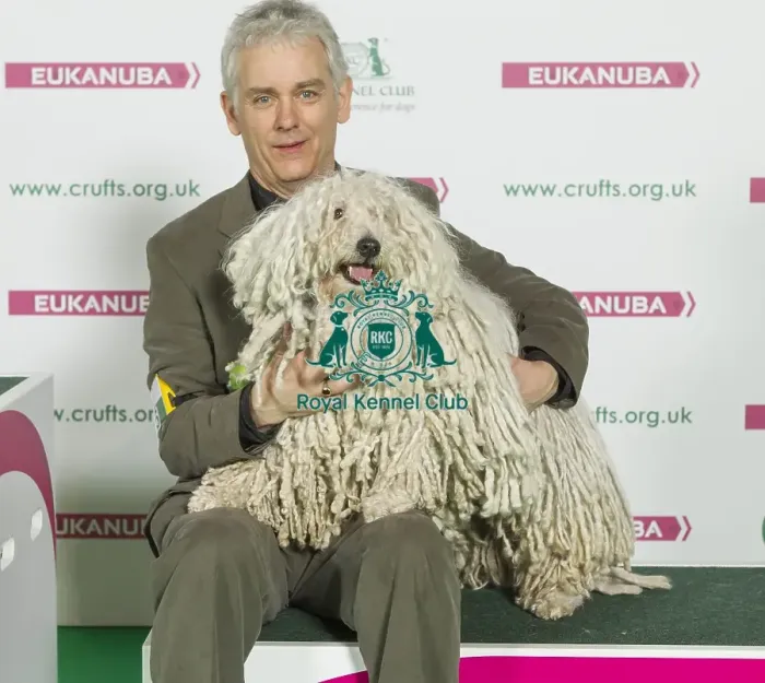 Framed Print : Crufts 2016 Best of Breed