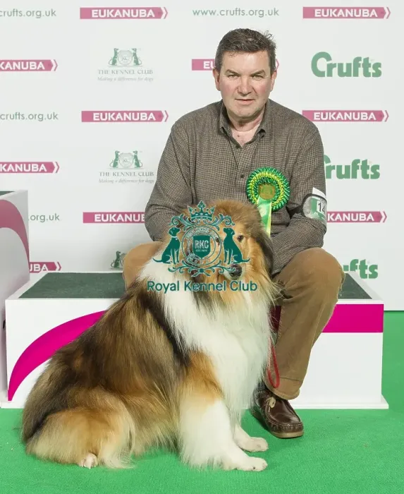 Framed Print : Crufts 2016 Best of Breed