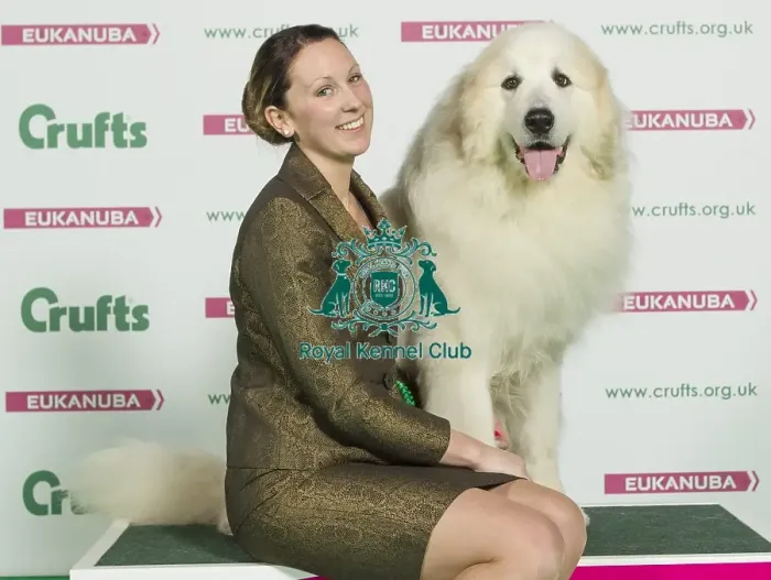 Framed Print : Crufts 2016 Best of Breed