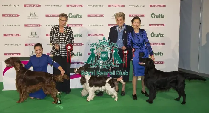 Framed Print : Crufts 2016 Best of Breed Framed Print : Crufts 2016 Best of Breed
