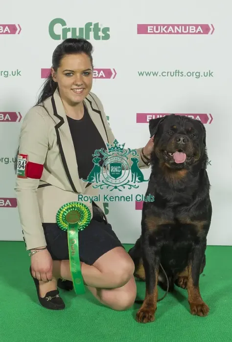 Framed Print : Crufts 2016 Best of Breed Framed Print : Crufts 2016 Best of Breed