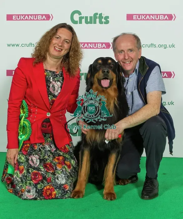 Framed Print : Crufts 2016 Best of Breed Framed Print : Crufts 2016 Best of Breed