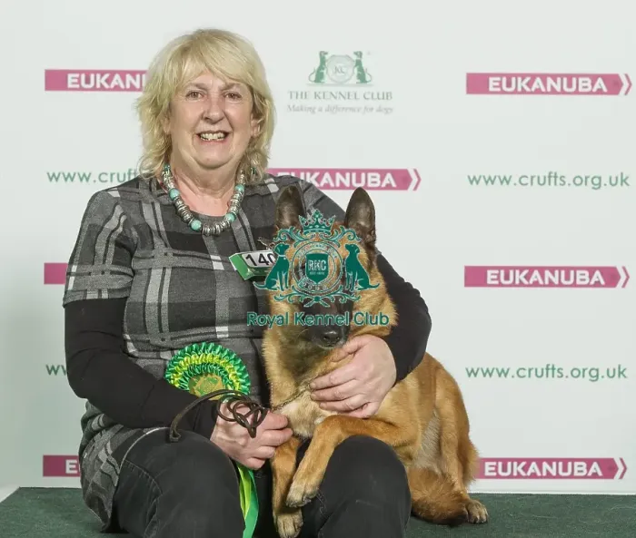 Framed Print : Crufts 2016 Best of Breed Framed Print : Crufts 2016 Best of Breed