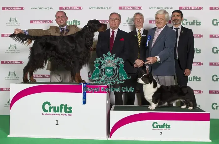 Framed Print : Crufts 2016 Best of Breed Framed Print : Crufts 2016 Best of Breed