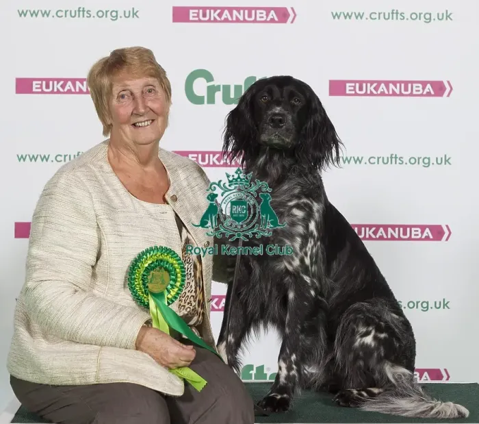 Framed Print : Crufts 2016 Best of Breed Framed Print : Crufts 2016 Best of Breed