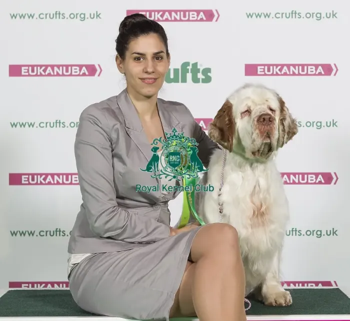 Framed Print : Crufts 2016 Best of Breed