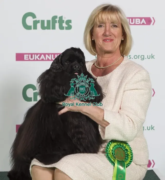 Framed Print : Crufts 2016 Best of Breed Framed Print : Crufts 2016 Best of Breed