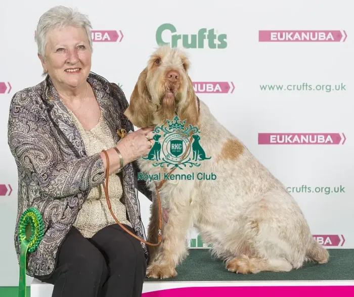 Framed Print : Crufts 2016 Best of Breed Framed Print : Crufts 2016 Best of Breed