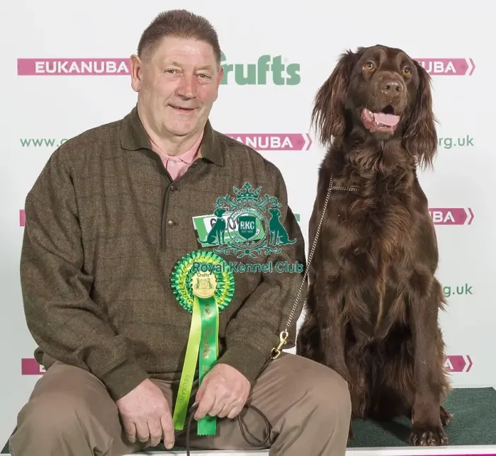 Framed Print : Crufts 2016 Best of Breed Framed Print : Crufts 2016 Best of Breed