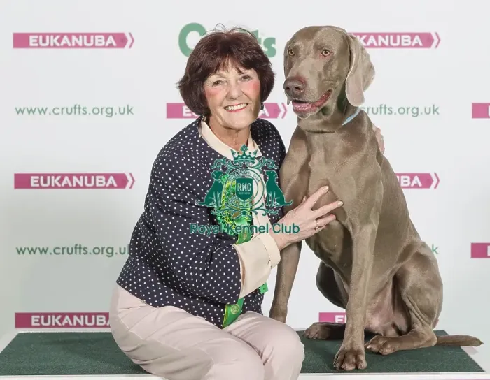 Framed Print : Crufts 2016 Best of Breed Framed Print : Crufts 2016 Best of Breed