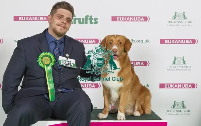 Framed Print : Crufts 2016 Best of Breed