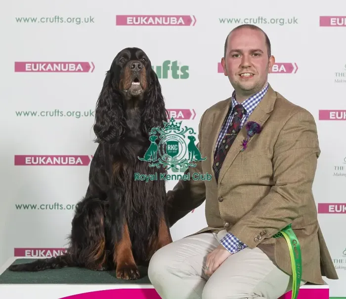 Framed Print : Crufts 2016 Best of Breed Framed Print : Crufts 2016 Best of Breed