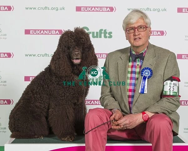 Crufts 2016 Best of Breed
