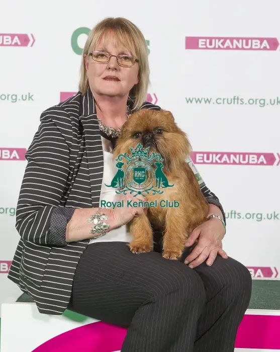 Framed Print : Crufts 2016 Best of Breed Framed Print : Crufts 2016 Best of Breed