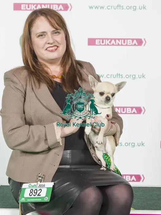 Framed Print : Crufts 2016 Best of Breed