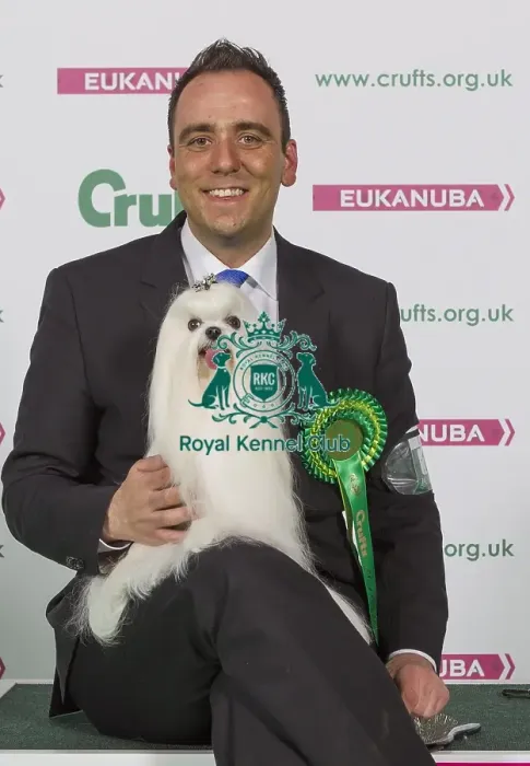 Framed Print : Crufts 2016 Best of Breed Framed Print : Crufts 2016 Best of Breed