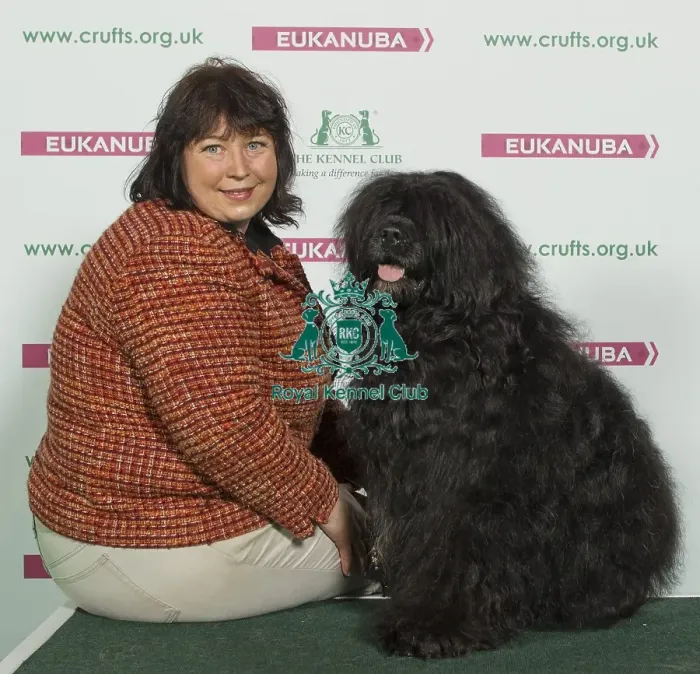 Framed Print : Crufts 2016 Best of Breed Framed Print : Crufts 2016 Best of Breed