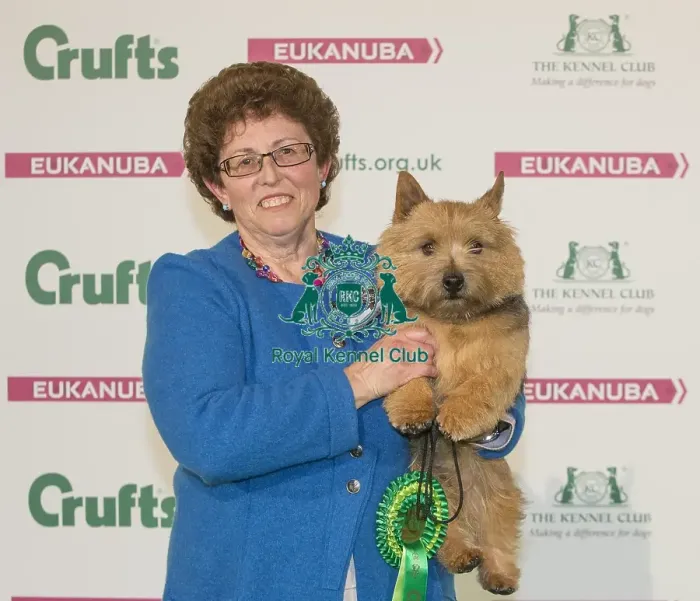 Framed Print : Crufts 2016 Best of Breed