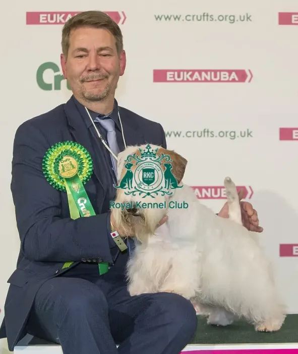 Framed Print : Crufts 2016 Best of Breed Framed Print : Crufts 2016 Best of Breed