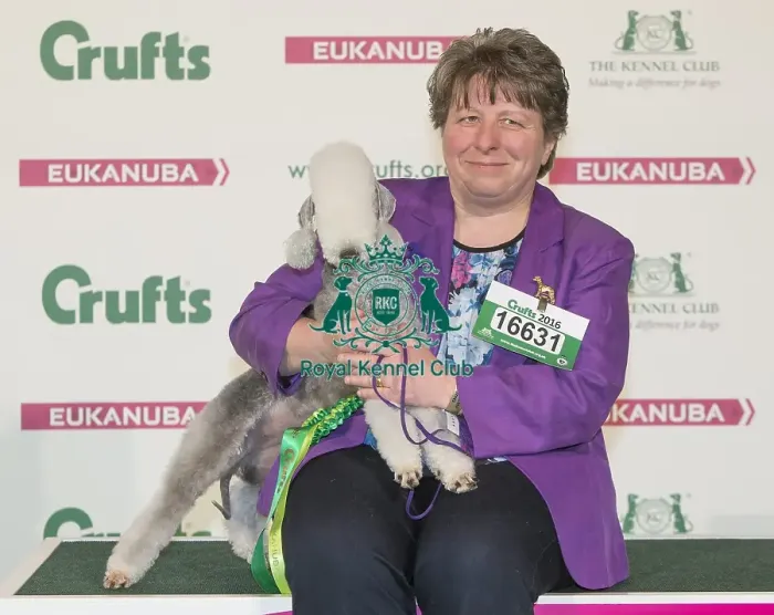 Framed Print : Crufts 2016 Best of Breed Framed Print : Crufts 2016 Best of Breed