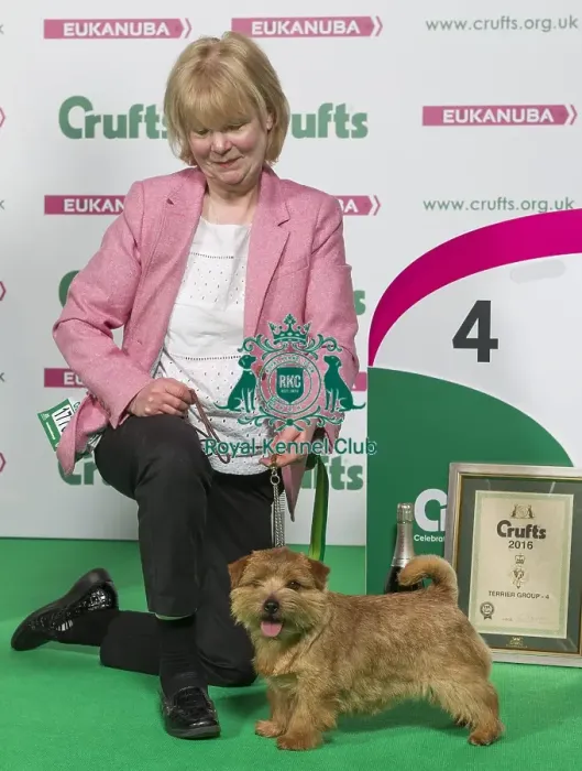 Framed Print : Crufts 2016 Best of Breed