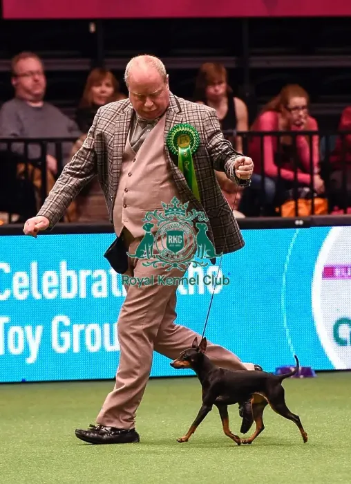 Framed Print : Crufts 2016 Best of Breed Framed Print : Crufts 2016 Best of Breed