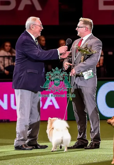 Framed Print : Crufts 2016 Best of Breed Framed Print : Crufts 2016 Best of Breed