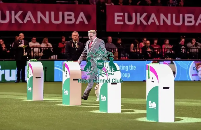 Framed Print : Crufts 2016 Best of Breed