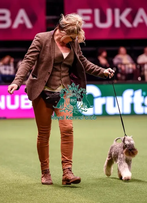 Framed Print : Crufts 2016 Best of Breed Framed Print : Crufts 2016 Best of Breed