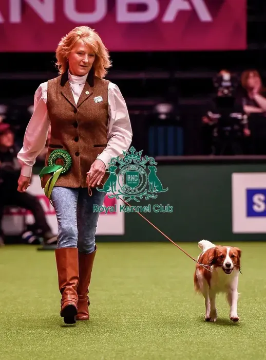 Framed Print : Crufts 2016 Best of Breed Framed Print : Crufts 2016 Best of Breed