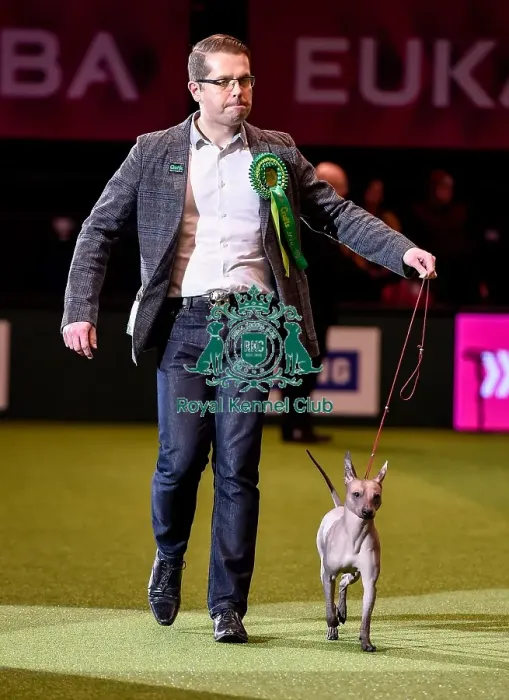 Framed Print : Crufts 2016 Best of Breed