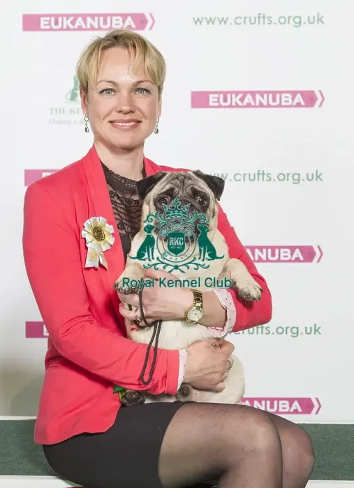 Framed Print : Crufts 2016 Best of Breed Framed Print : Crufts 2016 Best of Breed