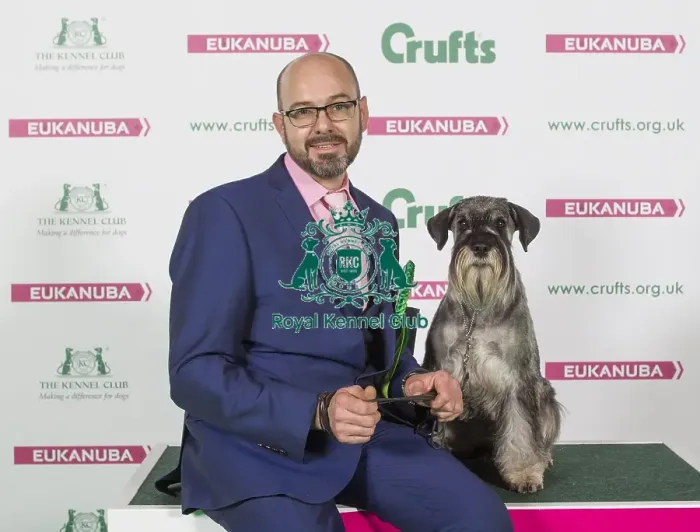 Framed Print : Crufts 2016 Best of Breed Framed Print : Crufts 2016 Best of Breed