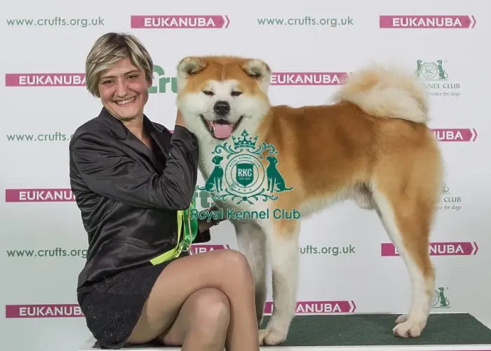 Framed Print : Crufts 2016 Best of Breed Framed Print : Crufts 2016 Best of Breed
