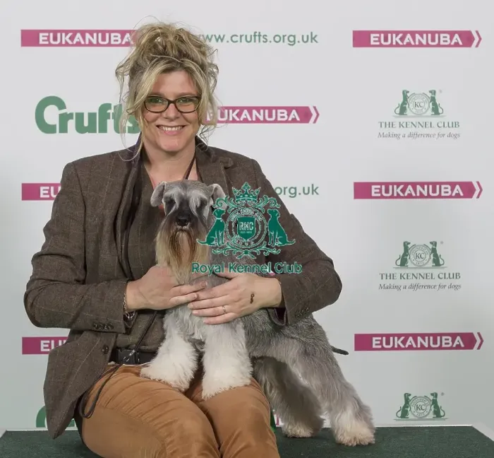 Framed Print : Crufts 2016 Best of Breed Framed Print : Crufts 2016 Best of Breed