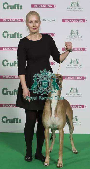 Framed Print : Crufts 2016 Best of Breed Framed Print : Crufts 2016 Best of Breed