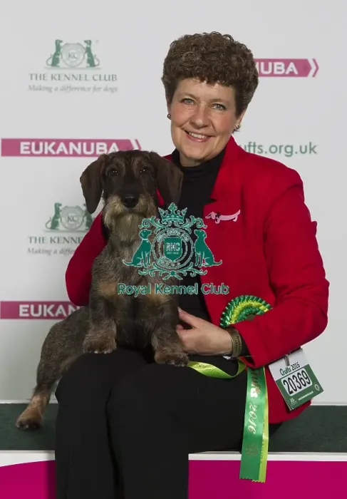 Framed Print : Crufts 2016 Best of Breed Framed Print : Crufts 2016 Best of Breed