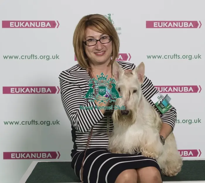 Framed Print : Crufts 2016 Best of Breed
