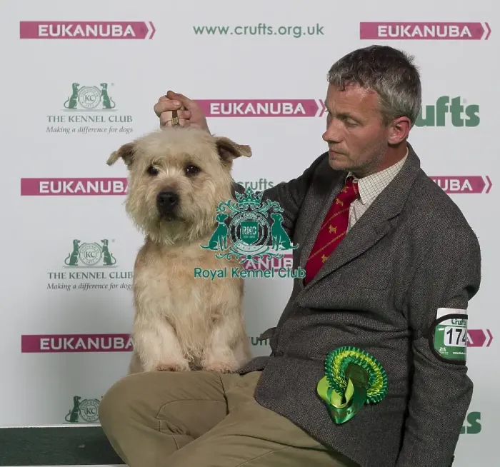 Framed Print : Crufts 2016 Best of Breed Framed Print : Crufts 2016 Best of Breed