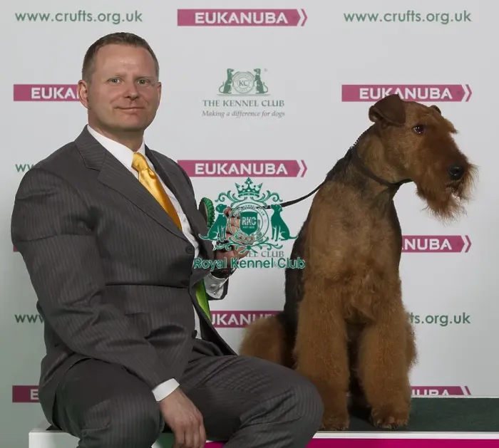 Framed Print : Crufts 2016 Best of Breed Framed Print : Crufts 2016 Best of Breed