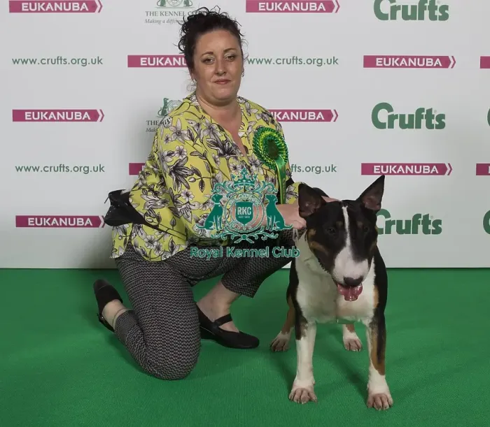 Framed Print : Crufts 2016 Best of Breed Framed Print : Crufts 2016 Best of Breed