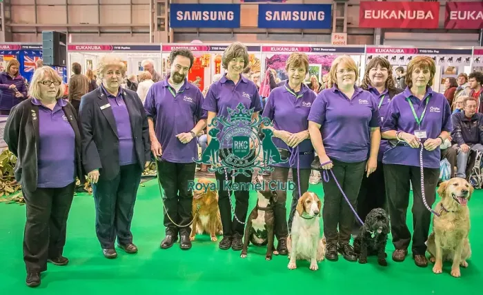 Framed Print : Crufts 2016 Gundog day Framed Print : Crufts 2016 Gundog day