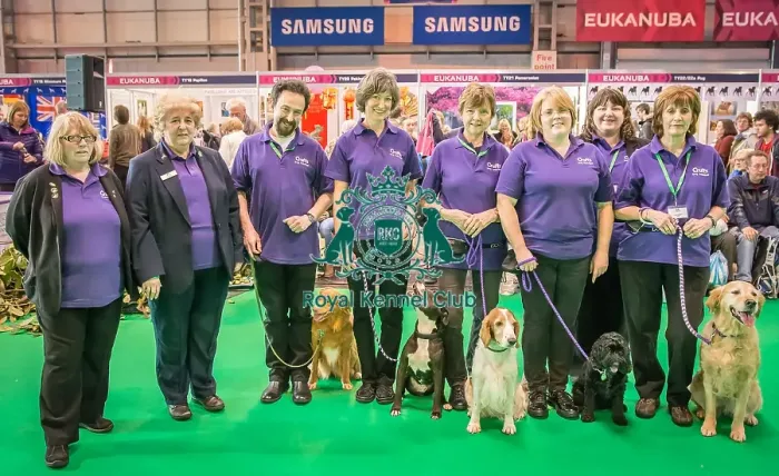 Framed Print : Crufts 2016 Gundog day Framed Print : Crufts 2016 Gundog day