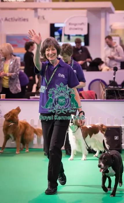 Framed Print : Crufts 2016 Gundog day Framed Print : Crufts 2016 Gundog day