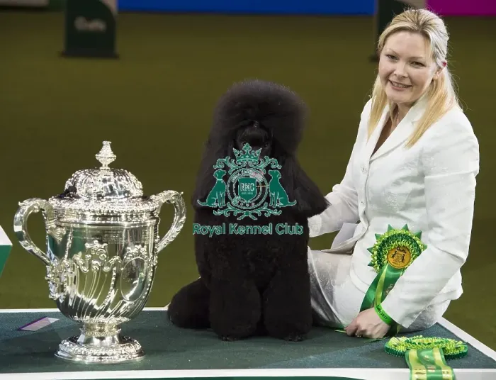 Framed Print : Crufts 2017 Framed Print : Crufts 2017
