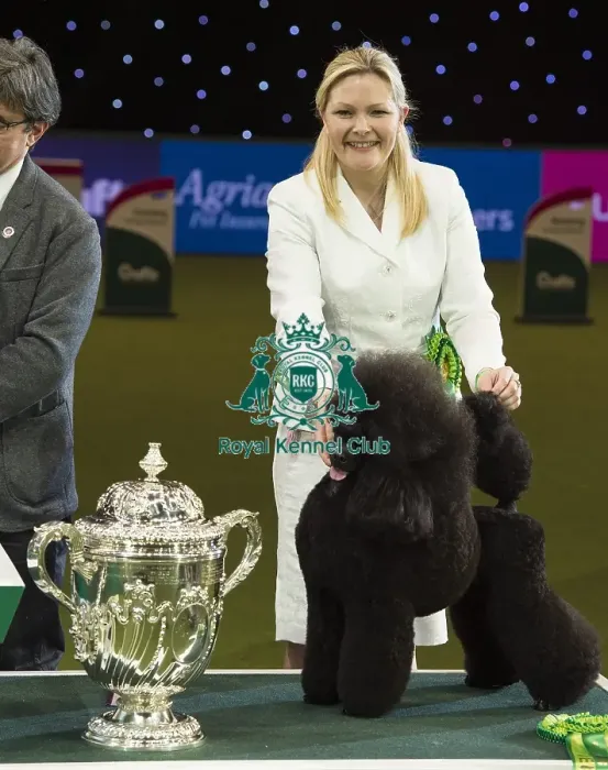 Framed Print : Crufts 2017