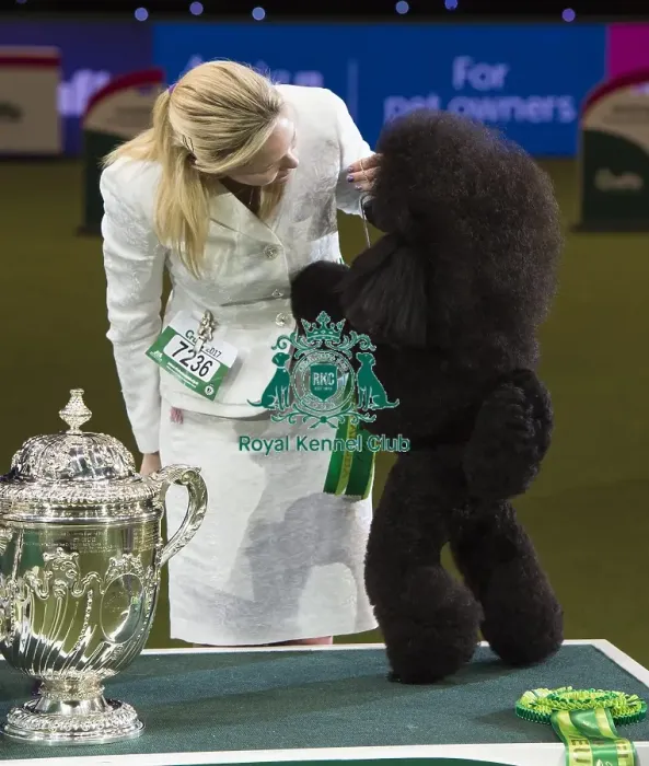 Framed Print : Crufts 2017 Framed Print : Crufts 2017