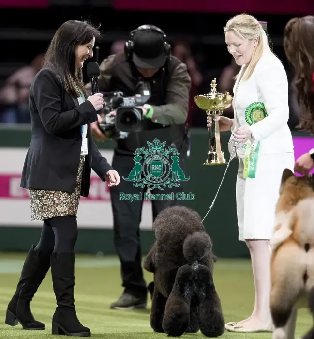 Framed Print : Crufts 2017 Framed Print : Crufts 2017