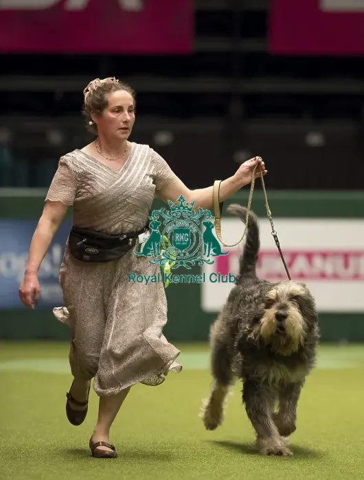 Framed Print : Crufts 2017 Framed Print : Crufts 2017